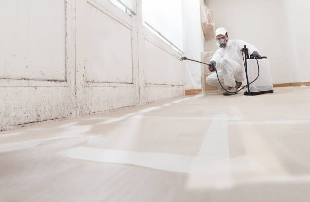 24/7 Emergency Attic Mold Removal experts in Lebanon, OR