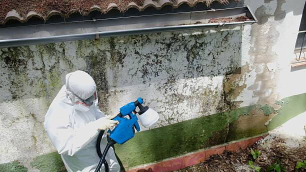 Top rated local Attic Mold Removal specialists in Lebanon, OR
